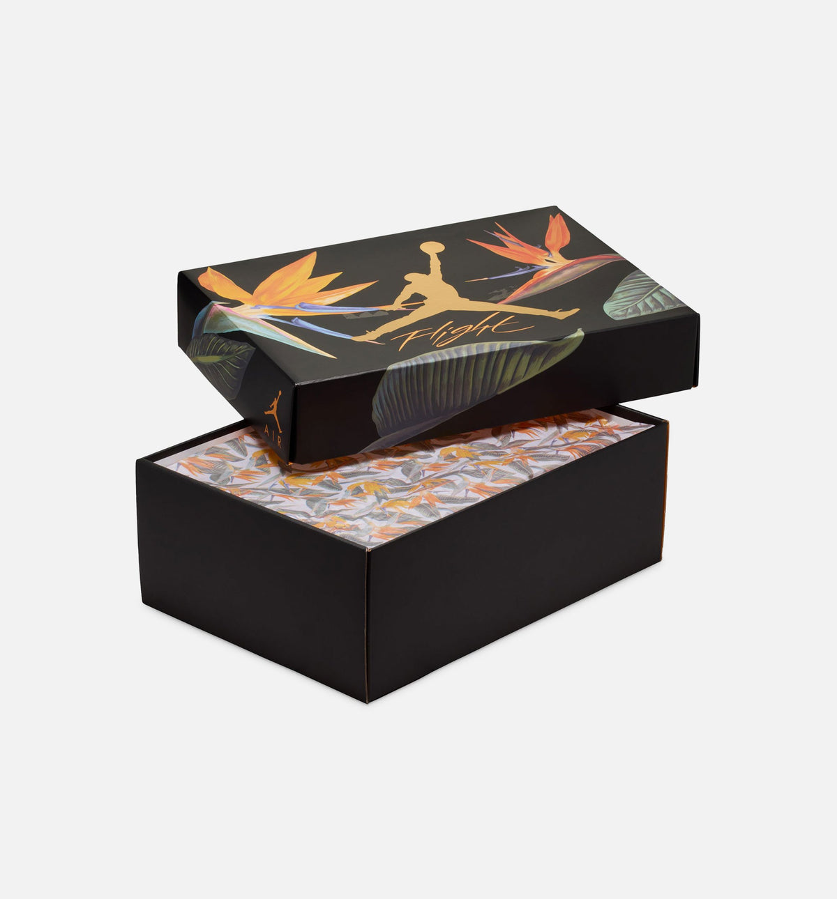 Air Jordan 4 Retro “Birds of Paradise” Women’s Shoes